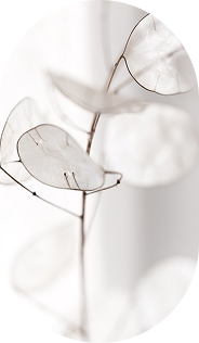 white flower