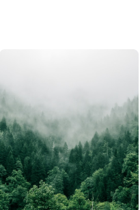Nature 2
