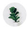 Plant 3