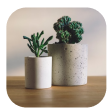 Plant 2
